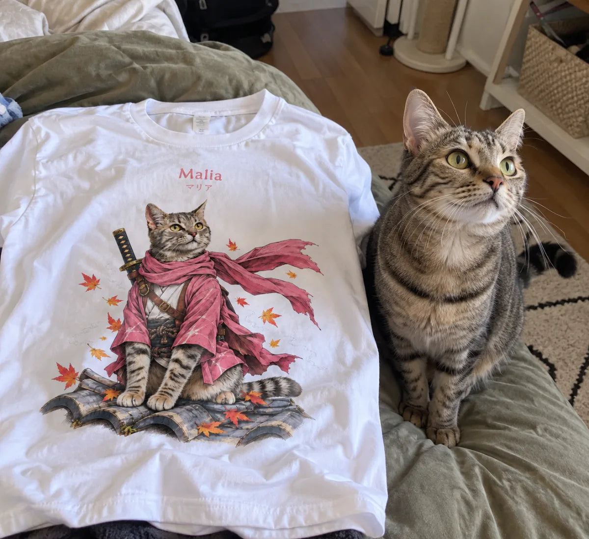 Malia, chatte tigrée, assise à côté de son t-shirt où elle apparaît en samouraï au kimono rose