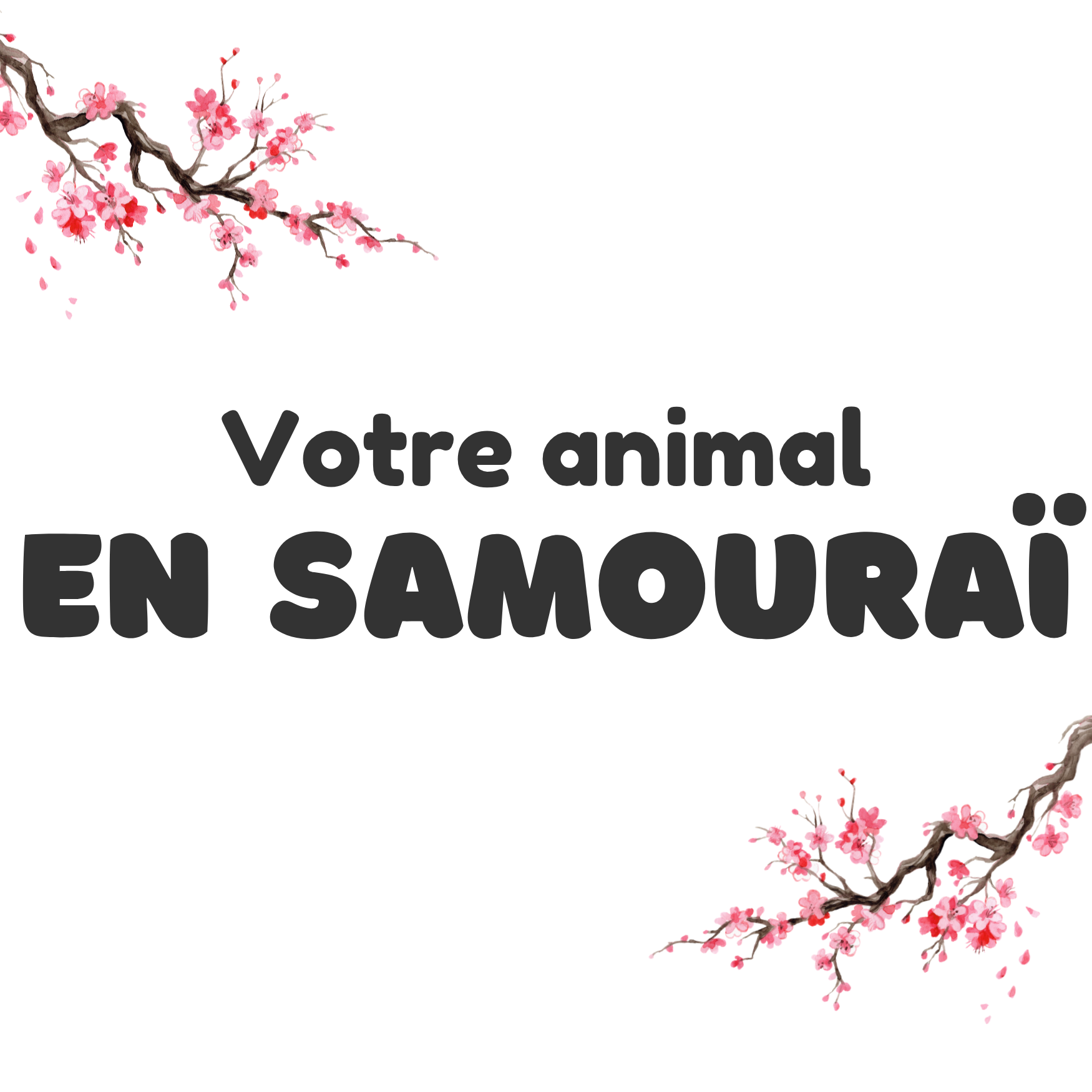 Votre animal en samouraï