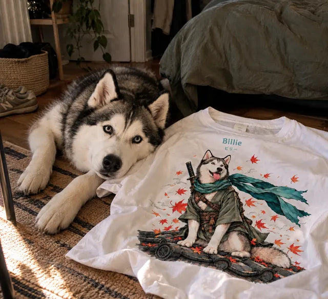Billie, husky, sur le tapis à côté de son t-shirt avec son portrait de samouraï