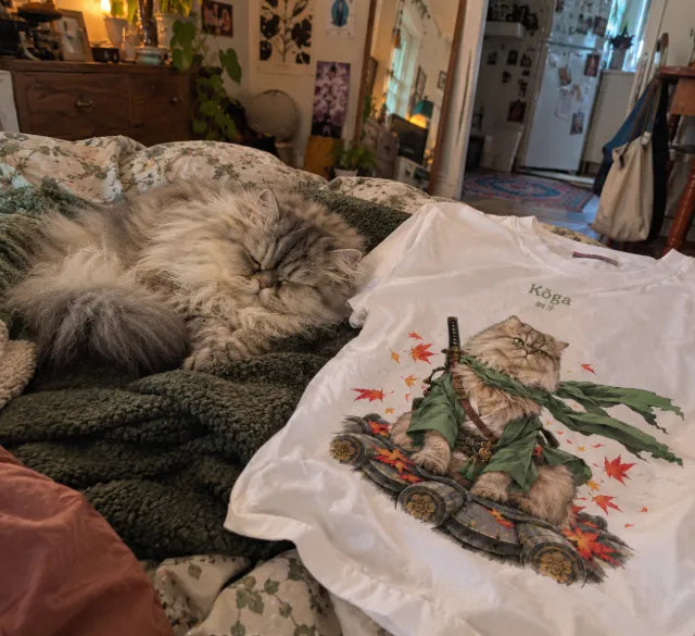 Kōga, chat persan, endormi sur le lit à côté de son t-shirt où il apparaît en samouraï au kimono vert