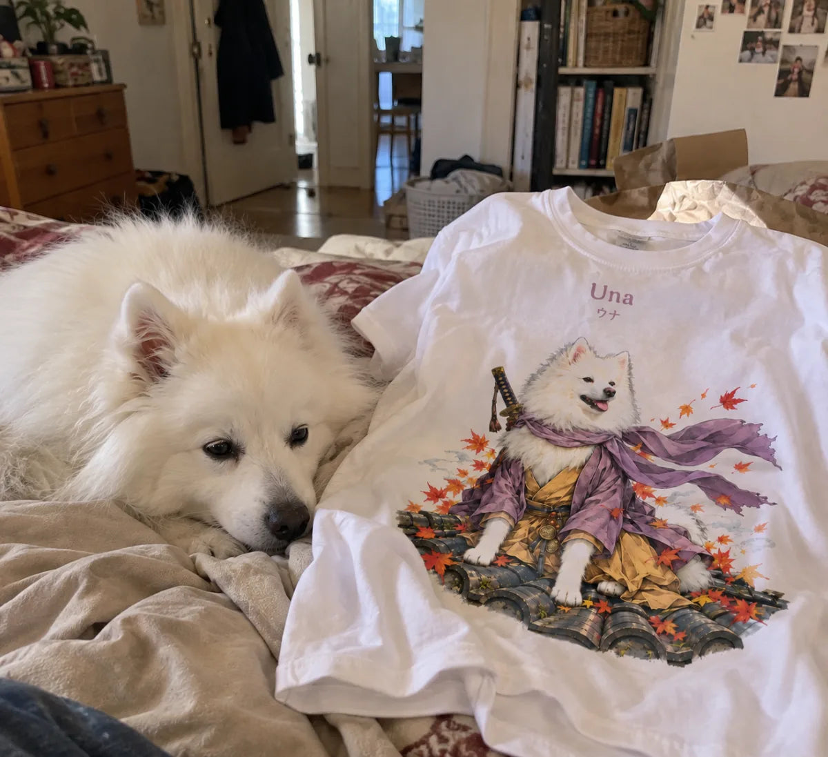 Una, spitz japonais, couchée sur le lit à côté de son t-shirt où elle apparaît en samouraï au kimono lavande